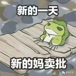你养的蛙儿,旅行回来了吗