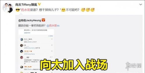 药水哥向佐事件介绍药水哥和向左怎么了