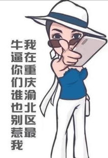 网友将保时捷女司机的表情包做出来了看完之后只能说网友太有才了