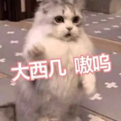 斗图小表情4.12