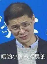 表情法外狂徒张三罗翔老师表情包