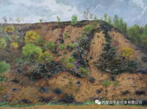 艺术家互助义拍作品赏析油画系列