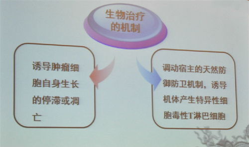 陈文明教授血液肿瘤细胞的免疫治疗