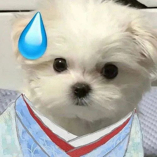 为什么这么多女主在男主面前扮演小白花,转头去夜店蹦迪的梗