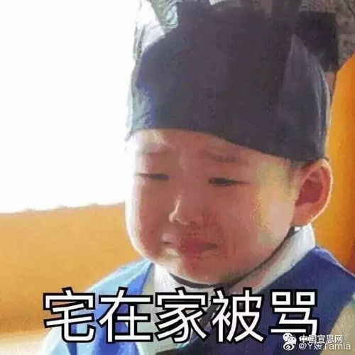 放假没事宣恩大学生实习政策看这里