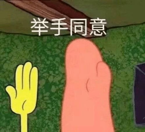 医专学子,来规划剩下的一个月吧