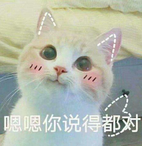 帮猫咪剪指甲真的不用打硬仗