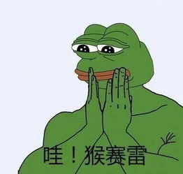 北思聪,南楚河,单身少爷的日常竟是酱紫