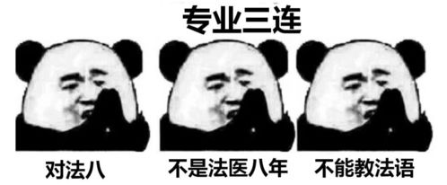 听说学医的孩子必须有这一套表情包过年保命