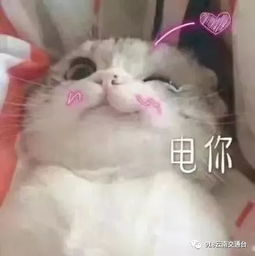 通过隧道时这些行车技巧请注意昆楚高速大红田隧道发生多车连环追尾事故.....