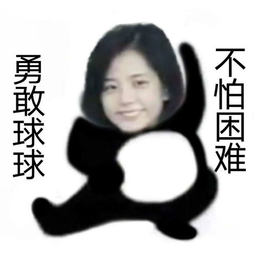 勇敢球球,不怕困难金智秀jisoo表情包