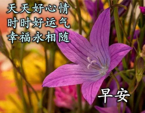 8张秋日非常漂亮的早上好表情图片带字祝福语免打字鲜花早上好祝福语图片精选