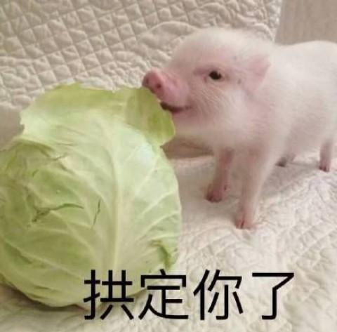 家里热水器和燃气灶的安装上有什么极少人注意的细节