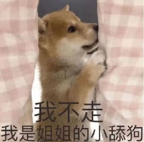 表情包可爱丨又开始了是吗