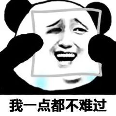 十一火车票开售您抢到票了吗