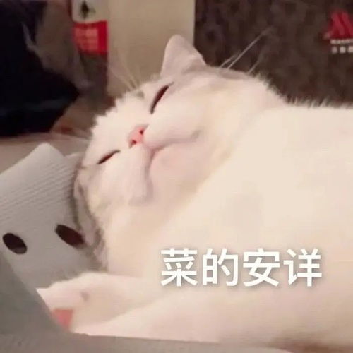 体态护发护肤化妆不学看美女也是好的