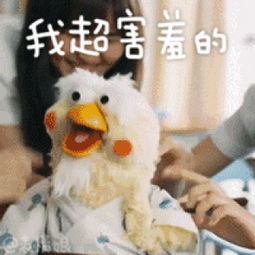 脆皮鸡表情包giftios下载脆皮鸡表情包giftiosapp下载脆皮鸡表情包giftios手机版下载