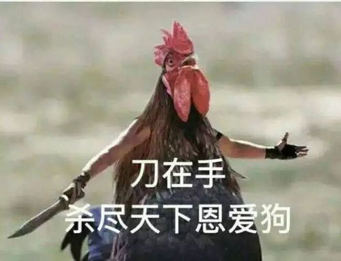 豆瓣9.2原来真有综艺能把人吓尿