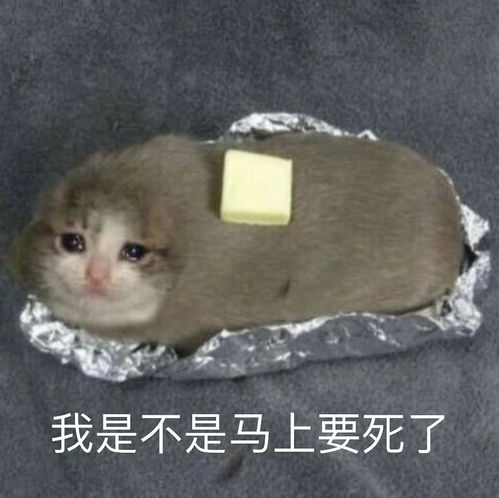 手机砸脸上是一种什么体验