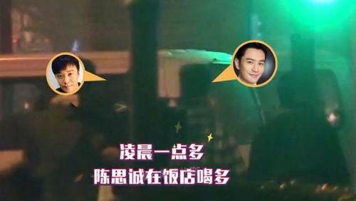 为保住人设才离婚佟丽娅夜会三男,陈思诚约美女回酒店过夜
