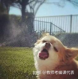 非师范生教师考编难不难