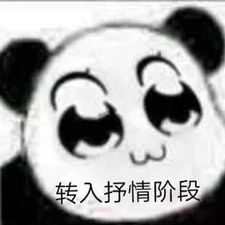 支教鞍山二小支教活动按时回归啦