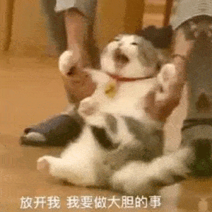 抖音最近热门表情包合集,又萌又可爱