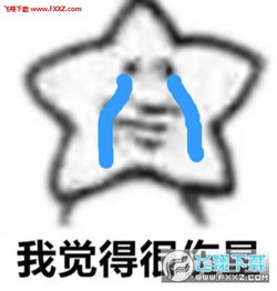 怎样下载有趣的表情包海星
