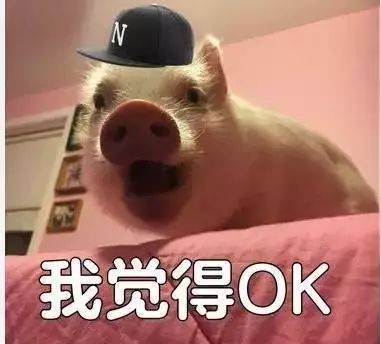 猪头表情包搞笑图片幽默笑话