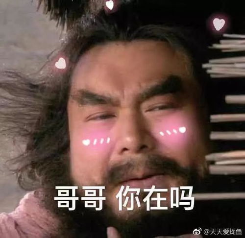 分享一组2018年度网友收藏的最好笑的图片,这真是一片快乐的海洋