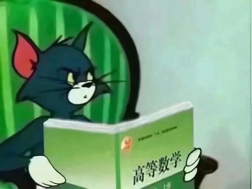 表情包语言搞笑数学