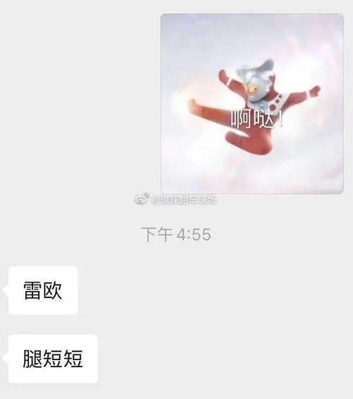 当你给男生发奥特曼表情包时,哈哈哈聊天记录我笑拉了
