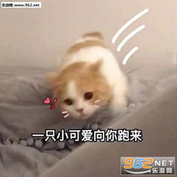 老实点娇喘表情包图片真拿老公没办法表情包下载乐游网游戏下载