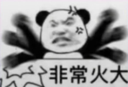 关晓彤长腿熊猫表情包易烊千玺