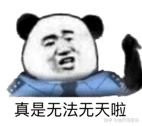 整装待发表情包飞行人员