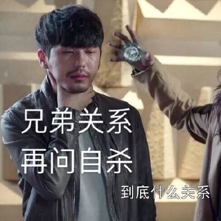 糟糕,我迷上了这感天动地的社会主义兄弟情