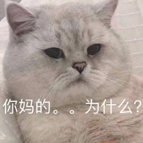 高考自愿