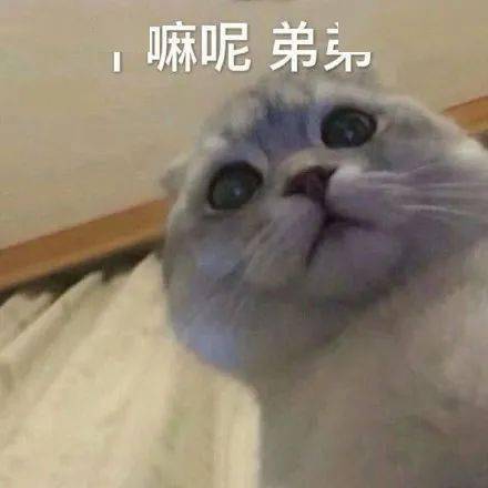啊啊啊啊啊啊啊明天要上班了