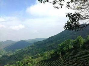 跟和尚做邻居,与西湖抢风景,70后文艺大叔把床藏在山中,睡遍了四季