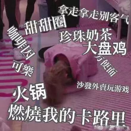 可爱表情包女孩减肥运动