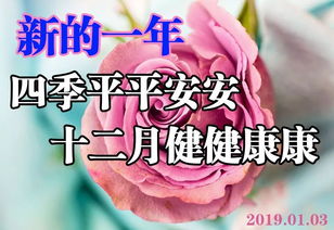 猪年早上好问候语图片2019年早晨阳光祝福表情包