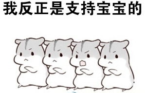 hamham仓鼠支持王宝强表情包
