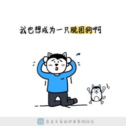 撩妹表情包动图