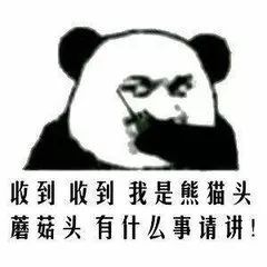 蘑菇头表情包丨别找我,我有排位恐惧症