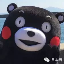 日本土豪公务员最全逗逼表情包笑死宝宝了