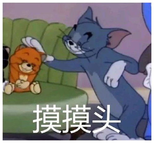 搞笑gif开心一刻女司机真的惹不起