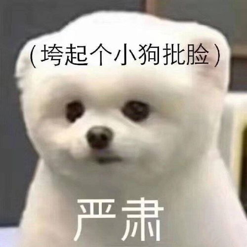 水有没有法老十级学者,可以进来笑了