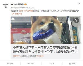 doge表情包微博古丽娜扎