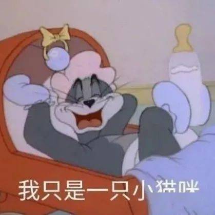 热门表情包酒真的不能再喝了