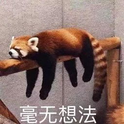 表情包丨我们tm的要文明